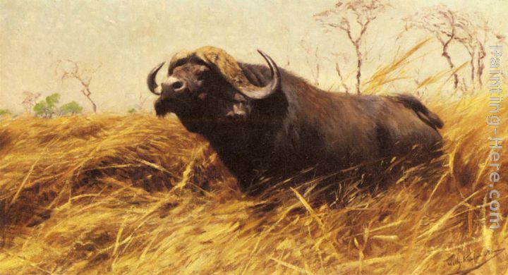 An African Buffalo painting - Wilhelm Kuhnert An African Buffalo art painting
